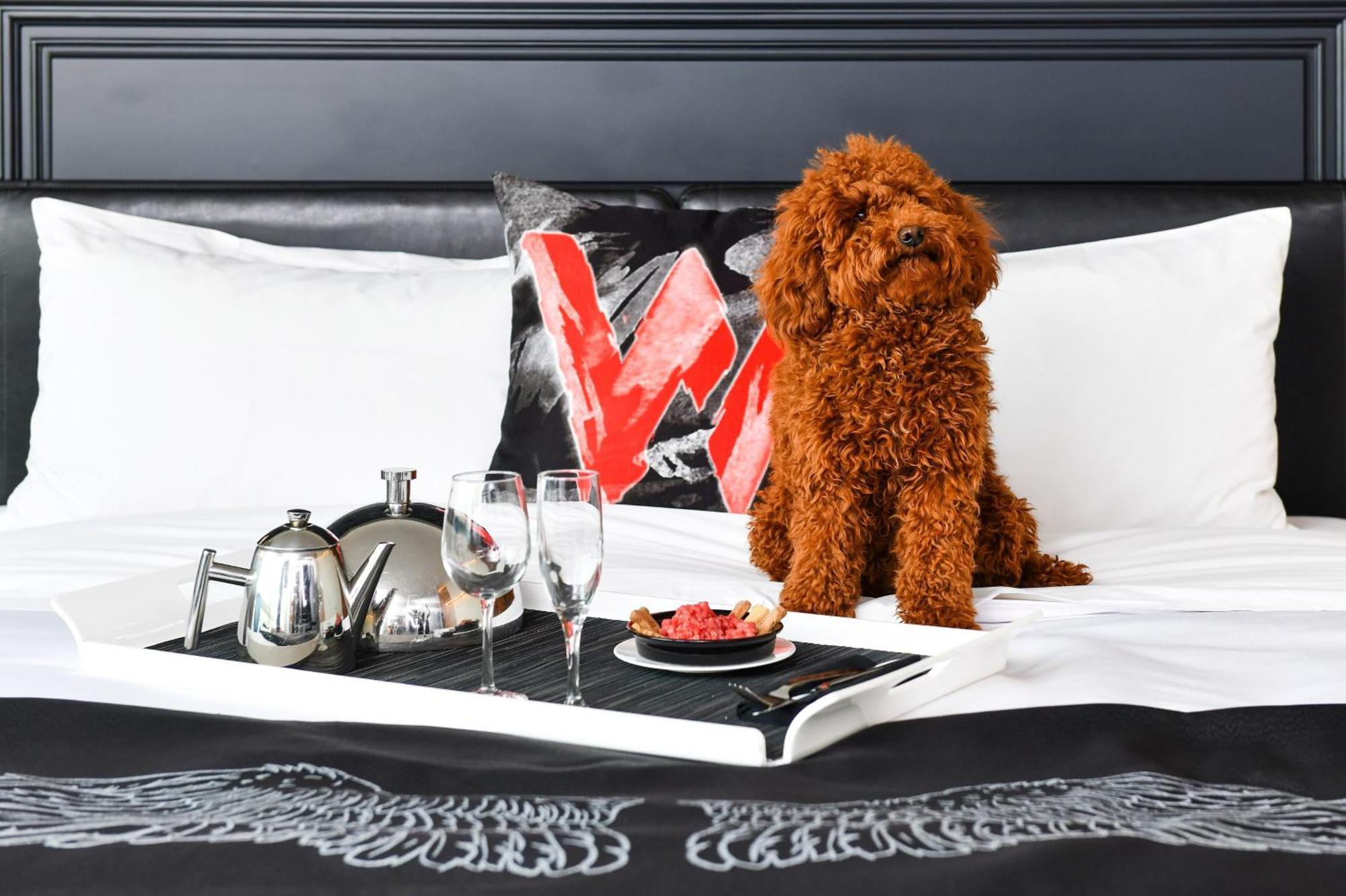 W Boston Hotel Екстериор снимка